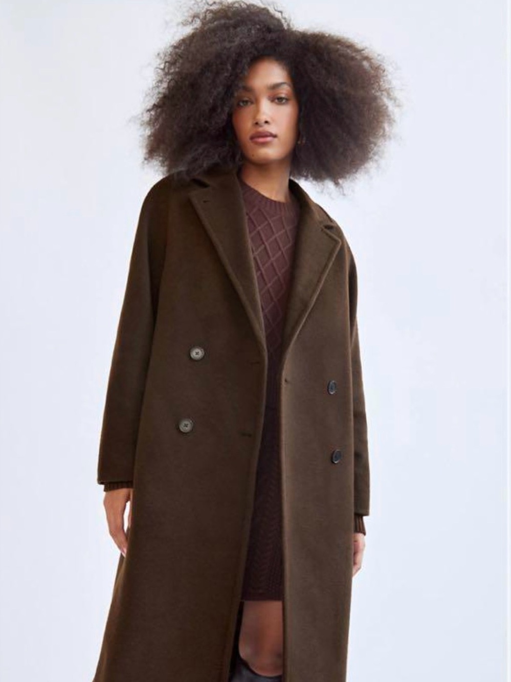 Aritzia Babaton The Slouch Coat